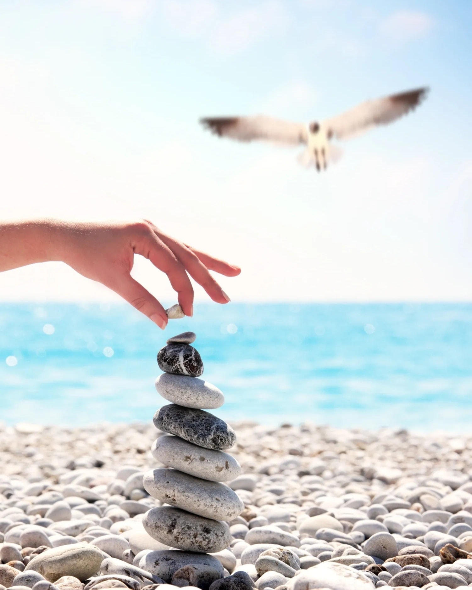 Total Zen yoga instructor in Clearwater Beach & surrounding areas